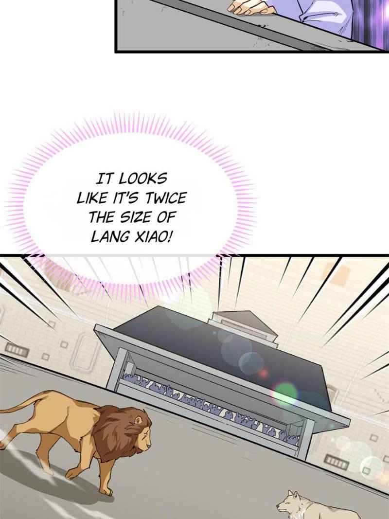 81492461 800 1067 82096